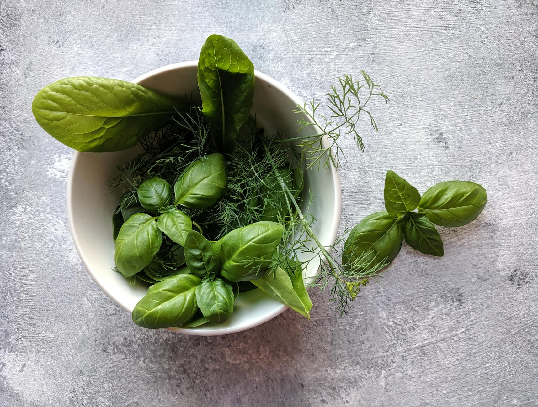 green leaves